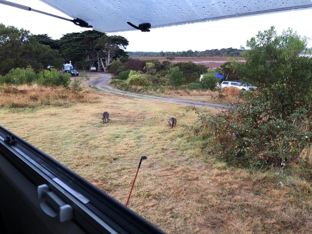 Mowing the Lawning at Lake Tyers, Victoria