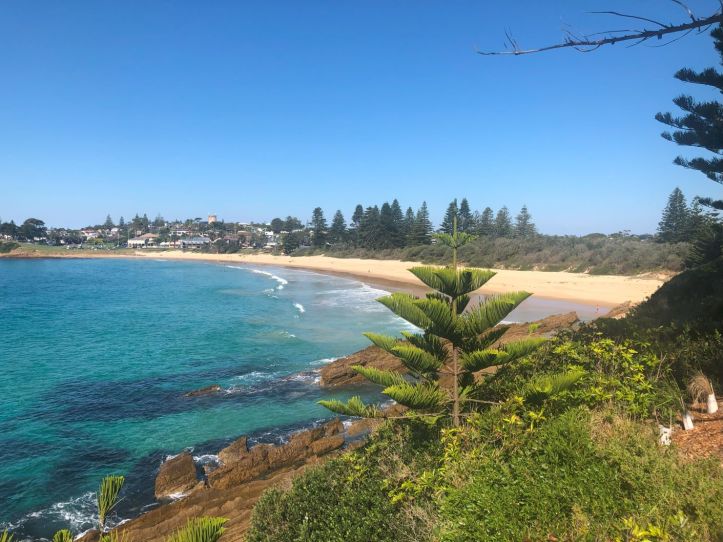 A view of town from Bermagui Point