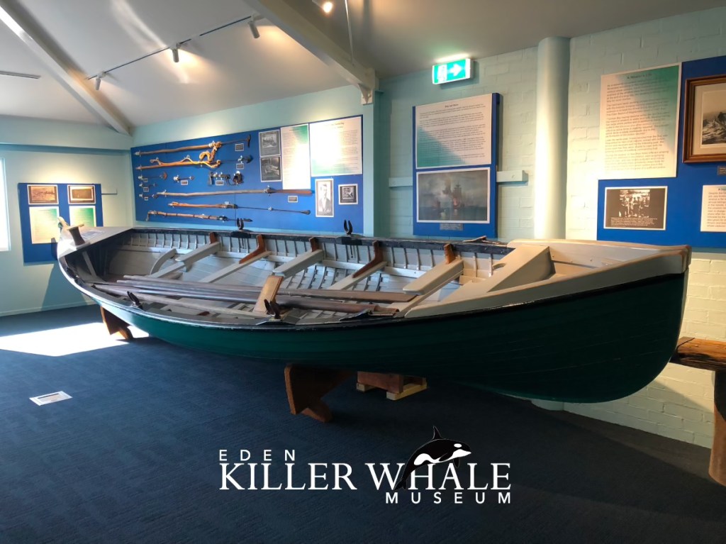 A 1840s whaling boat at Eden Killer Whale Museum.