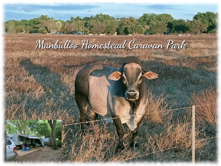 Manbulloo Homestead Caravan Park, Katherine Northern Territory