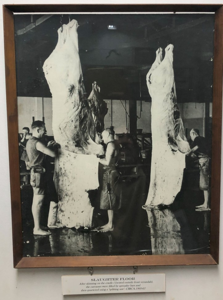 Meatworks, Wyndham, Western Australia - 1960s