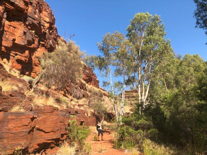 Hiking Dales Gorge, Karijini National Park, Western Australia