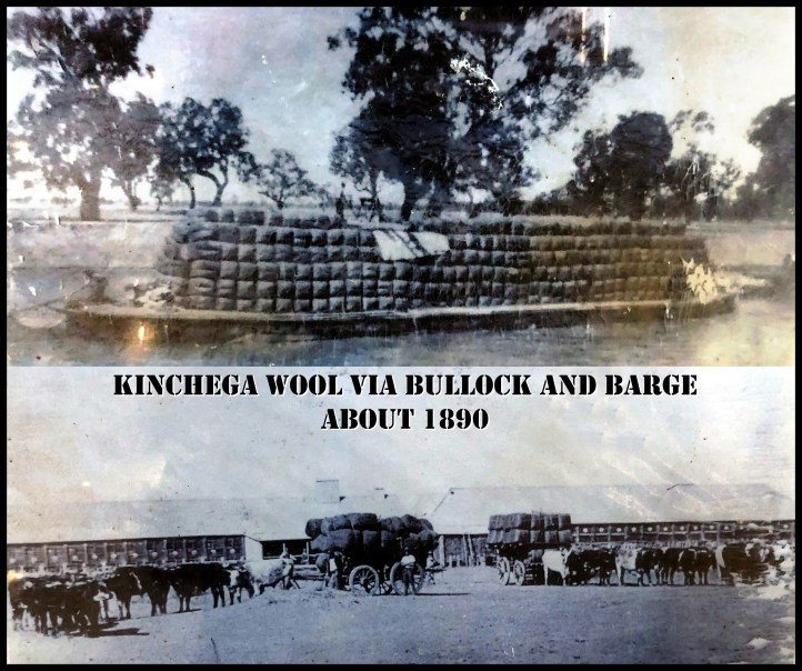 Kinchega Wool off to Market, Minindee, New South Wales