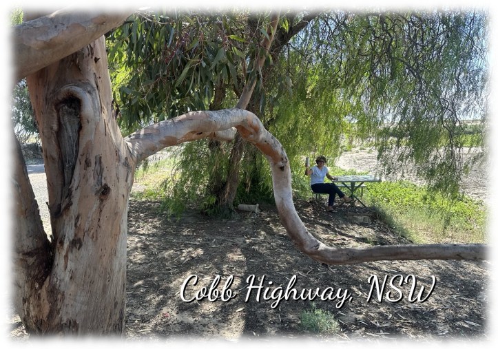 Roadside stop, Cobb Highway, New South Wales