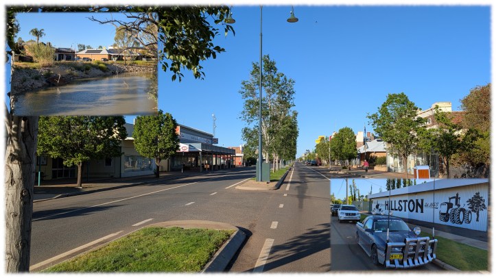 Hillston, New South Wales